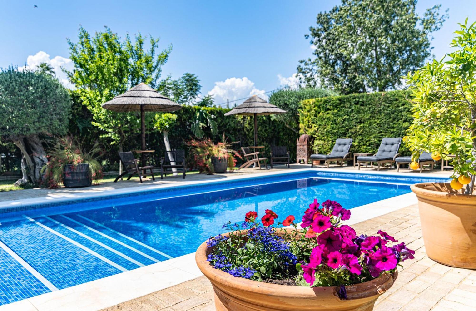 Bed & Breakfast Casa Adelante Sevilla Espartinas